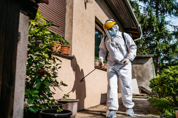 Best Best Pest Control Companies  in Leadington, MO