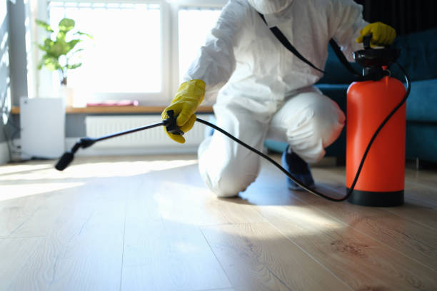 Best Flea Control Services  in Leadington, MO