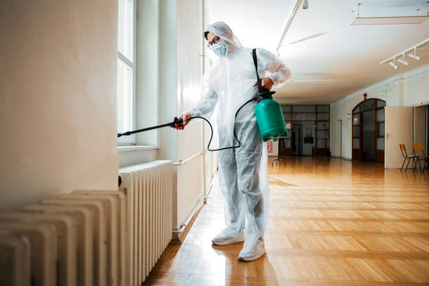Best Affordable Pest Control Services  in Leadington, MO